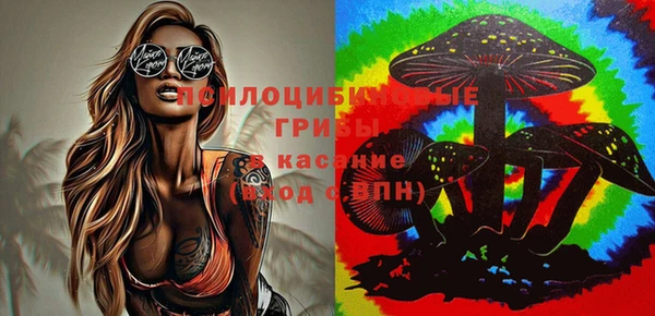 2c-b Мегион