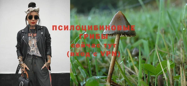 jwh Медвежьегорск