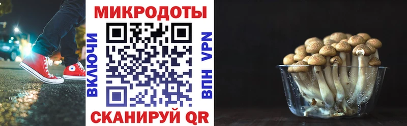 Галлюциногенные грибы мицелий  ОМГ ОМГ зеркало  Игра  сколько стоит 