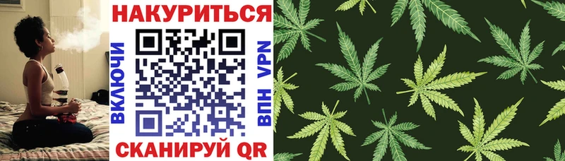 Конопля ГИДРОПОН  сколько стоит  Игра 